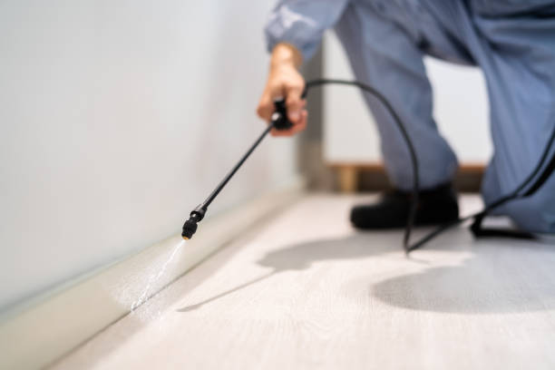 Licensed Pest Control service in Salem, OH - Show Me Pest Control