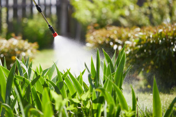 Tamper-Resistant Bait Stations for Rodents in Salem